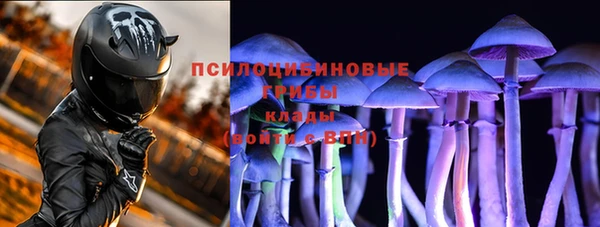 PSILOCYBIN Вяземский