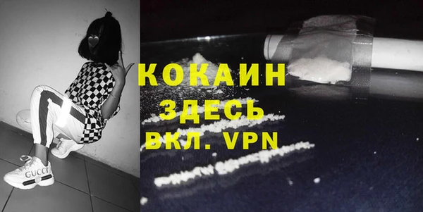 PSILOCYBIN Вяземский
