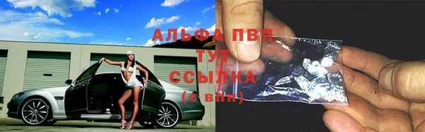 СК Вязьма
