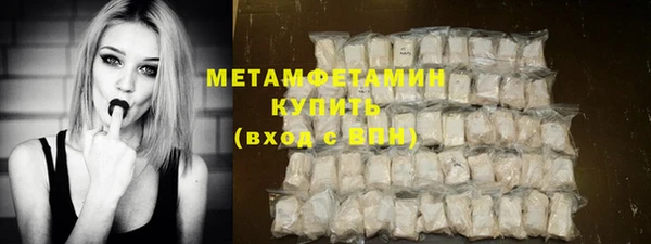 PSILOCYBIN Вяземский