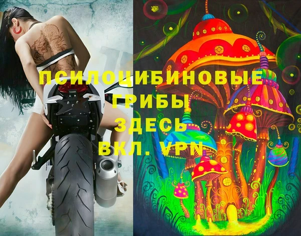 метадон Горнозаводск