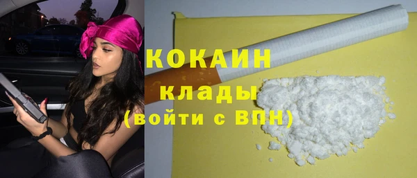 PSILOCYBIN Вяземский