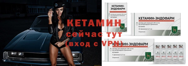 PSILOCYBIN Вяземский
