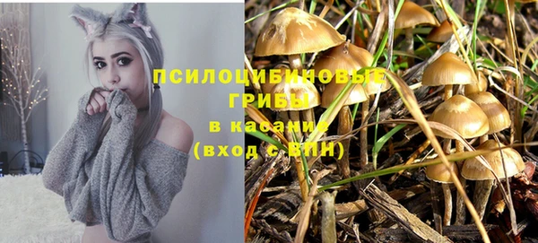 ALPHA-PVP Володарск