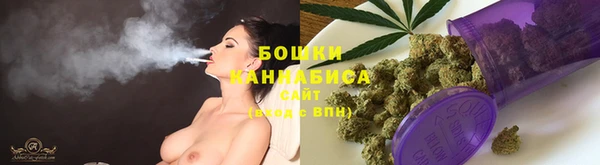 СК Вязьма
