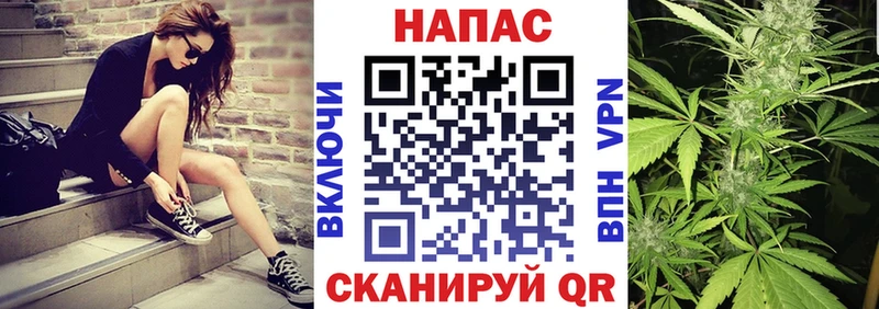 Купить  Кузнецк  Бошки марихуана семена 